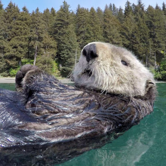 Meet your Posher, Bradley - Picture 1 of 1